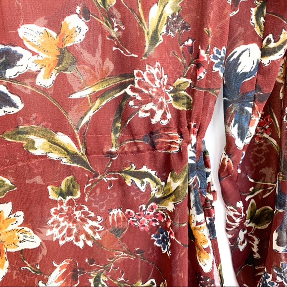 Fall Colored Sheer Zara Dress - Picture 8 of 12